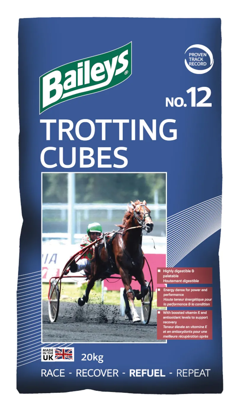 Baileys No 12 Trotting Cubes